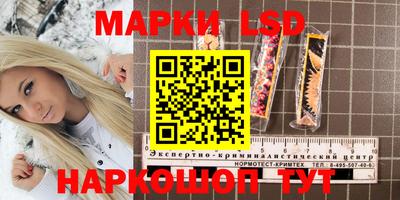 мяу мяу мука Ликино-Дулёво