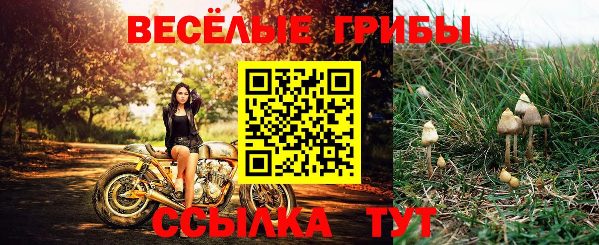 Галлюциногенные грибы мицелий Чехов